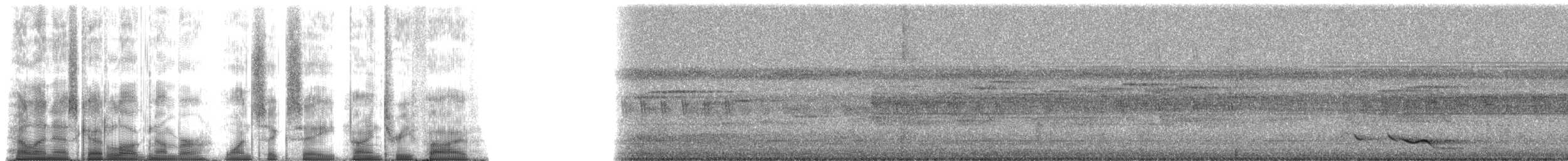 Timor Oriole - ML168935