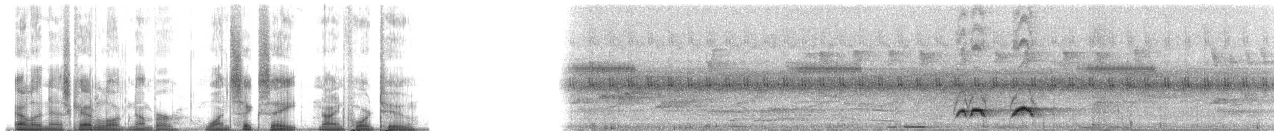 Ekru Göğüslü Pitta - ML168942