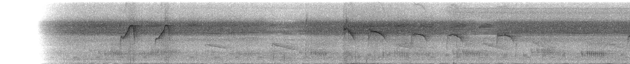 Rufous-tailed Stipplethroat - ML168955771