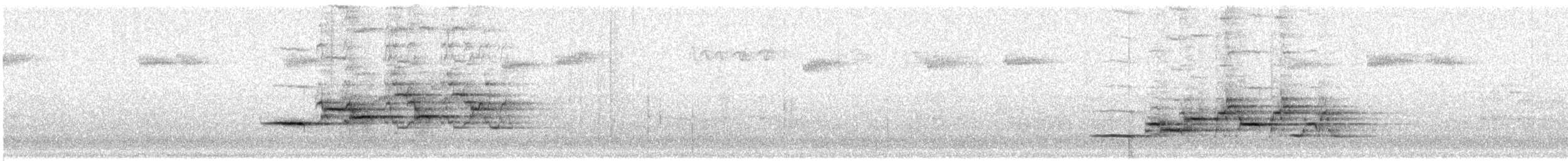 Einsiedler-Musendrossel - ML168978301