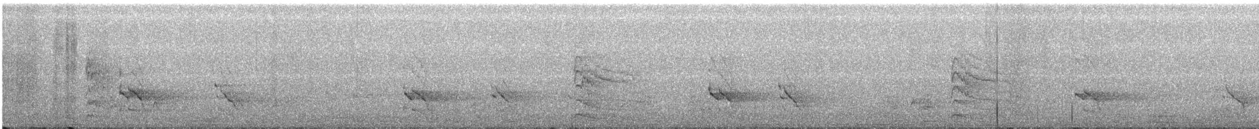 Дятел-смоктун білочеревий - ML168985511