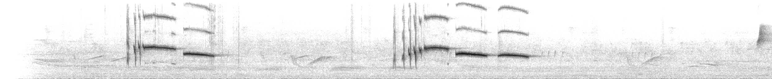 Streaked Laughingthrush - ML168996621