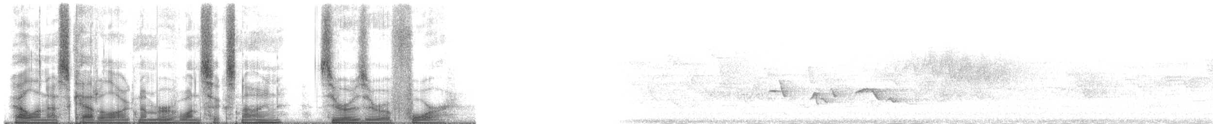 Mourning Warbler - ML169004