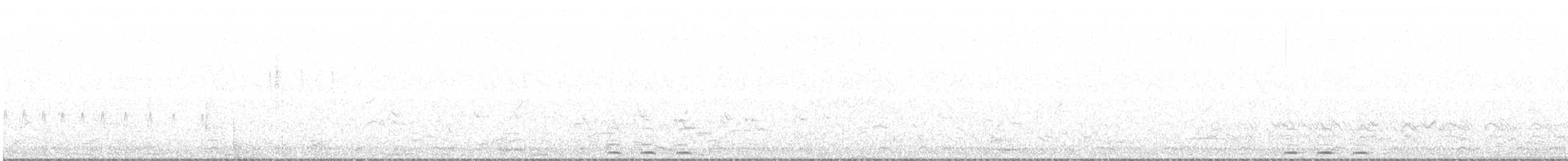 ヤツガシラ（africana） - ML169006121