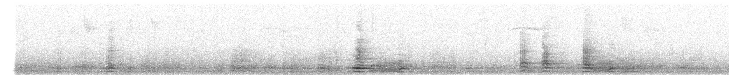 Corvo imperiale - ML169013671