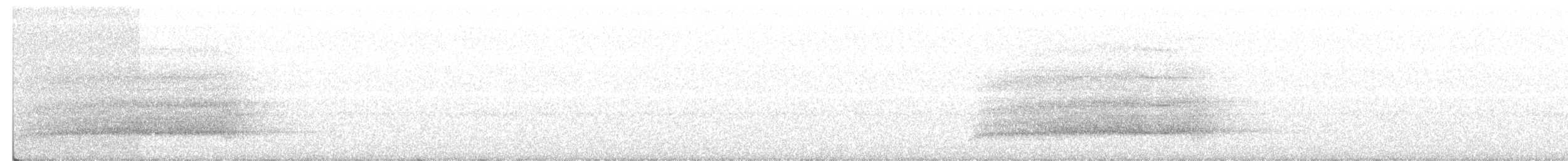 Сипуха темно-бура (підвид tenebricosa/arfaki) - ML169038421