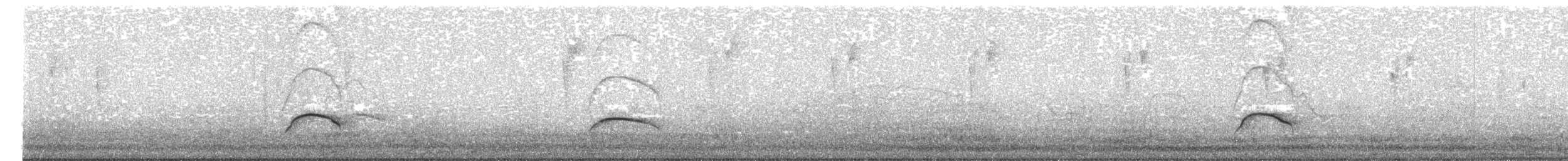 Nutting's/Salvadoran Flycatcher - ML169046741