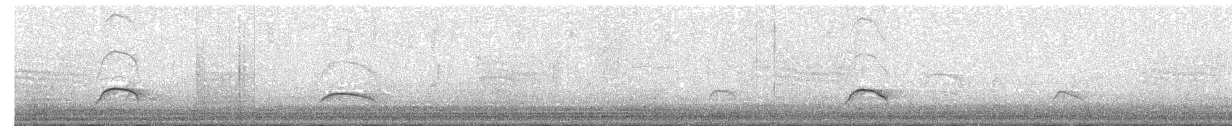 Nutting's/Salvadoran Flycatcher - ML169046751