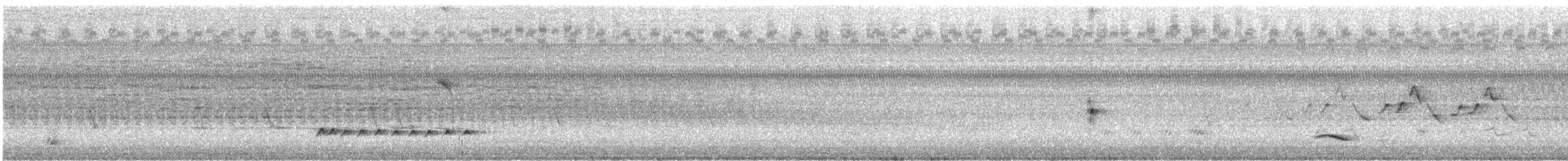 Ictérie polyglotte - ML169052951