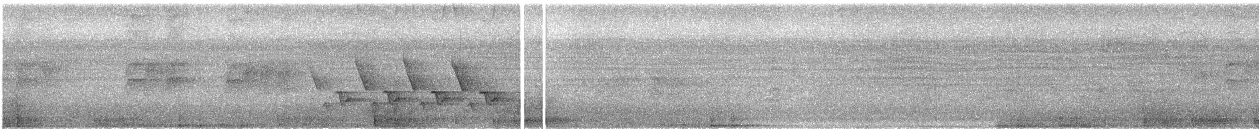 Поплітник каролінський - ML169064011