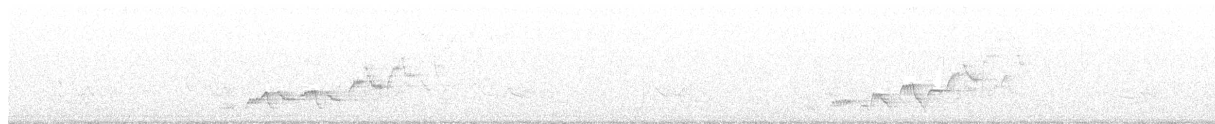 Дрізд-короткодзьоб Cвенсона - ML169136951