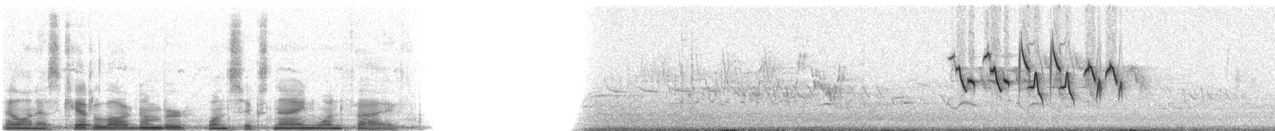 papežík indigový - ML16915