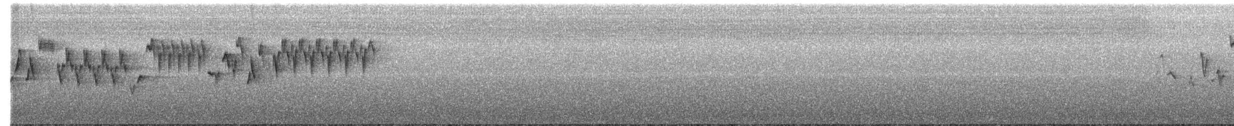 Troglodyte de Baird - ML169156771
