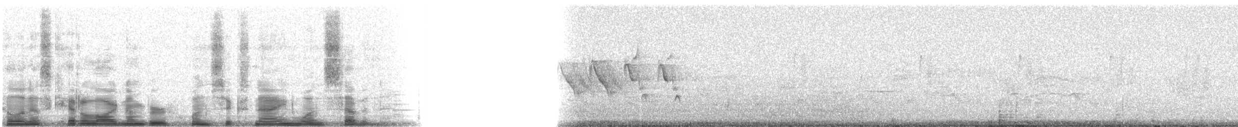 papežík indigový - ML16917