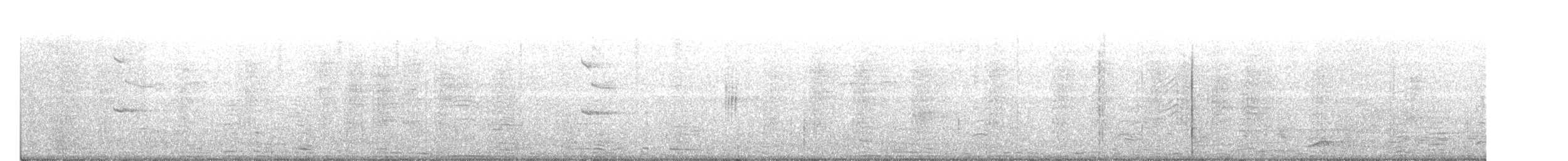steinskvett (oenanthe/libanotica) - ML169170641