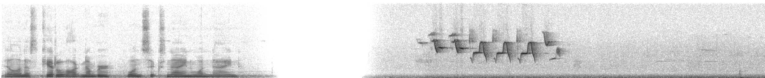 papežík indigový - ML16919