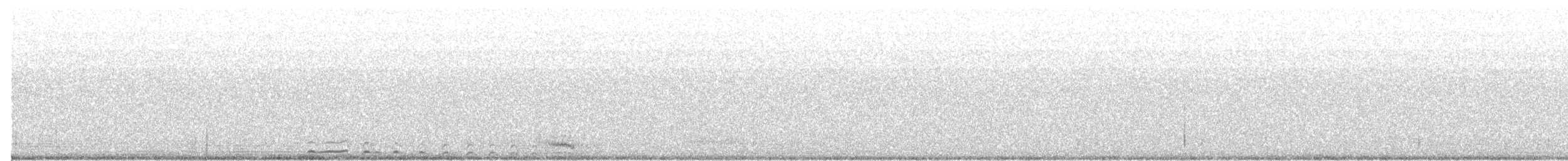 Lagopède à queue blanche - ML169191111