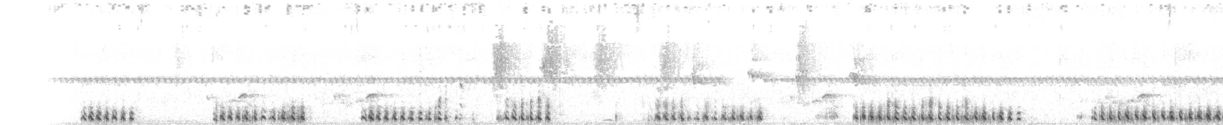 momot diadémový - ML169192731