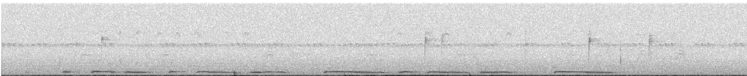Белокрылая горлица - ML169210761
