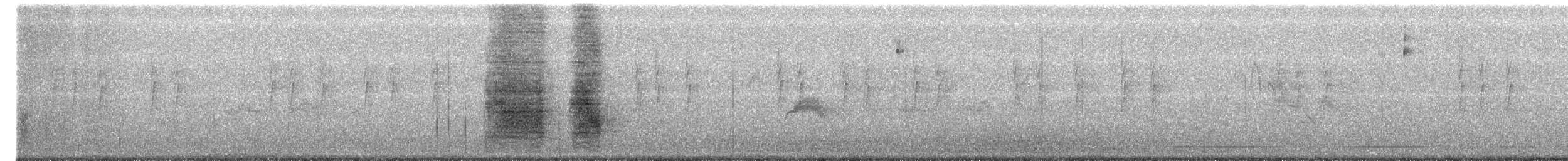 Chara de Steller - ML169212201