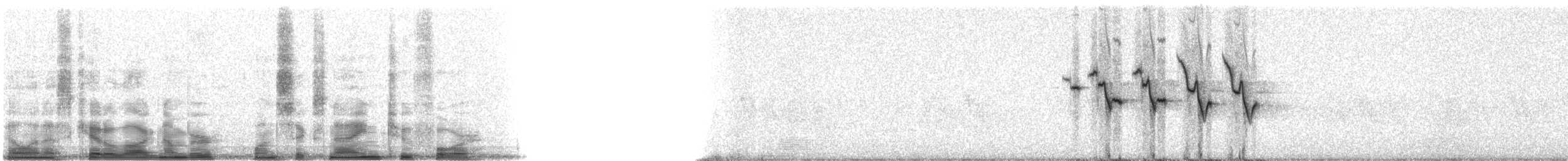 papežík indigový - ML16924