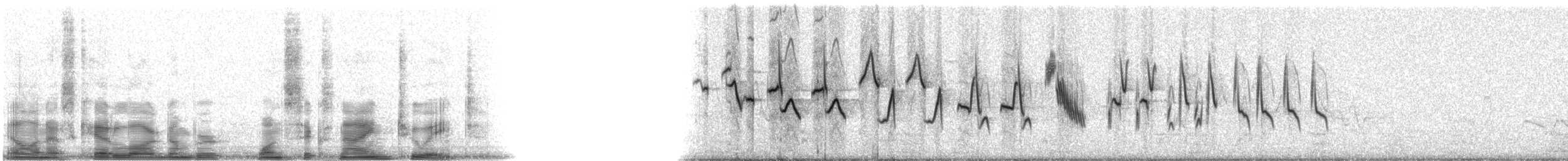 papežík indigový - ML16928