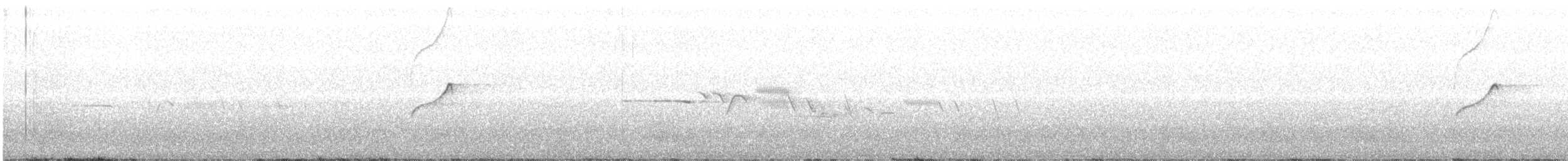 Batı Amerika Sinekkapanı (occidentalis/hellmayri) - ML169287341