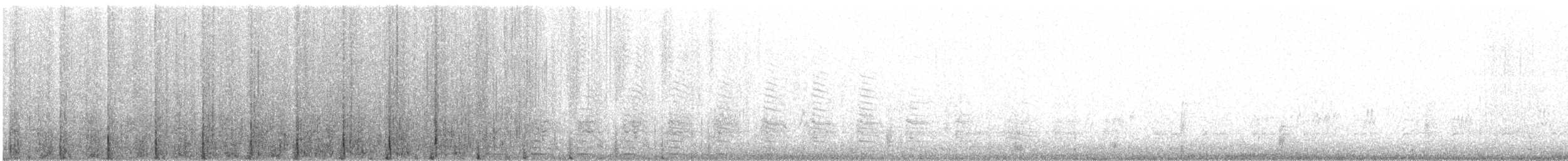 Пелікан рогодзьобий - ML169296881