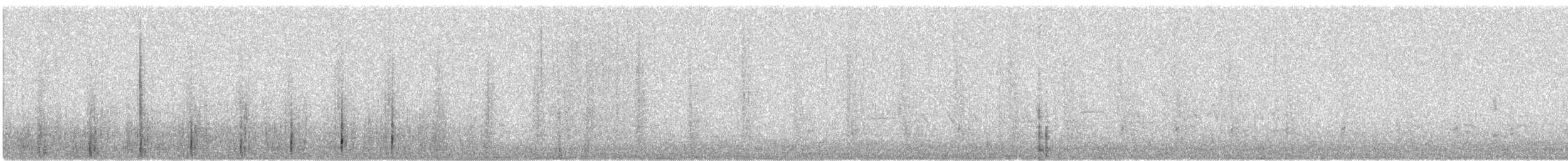 Пелікан рогодзьобий - ML169296891