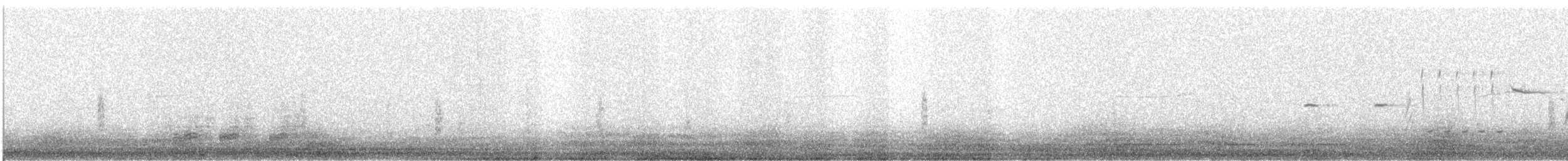 Ibis à face blanche - ML169311041