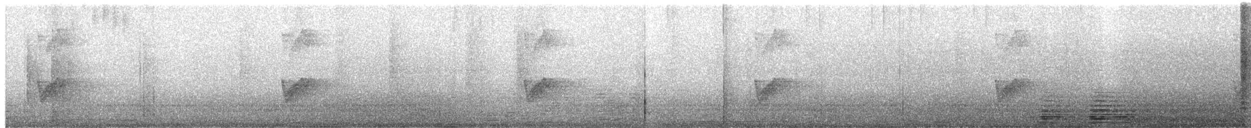 シロアゴヨタカ（affinis グループ） - ML169315661