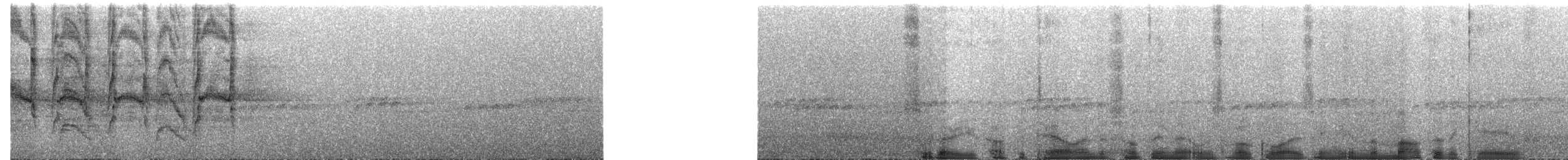 Halsbandsegler - ML169327261