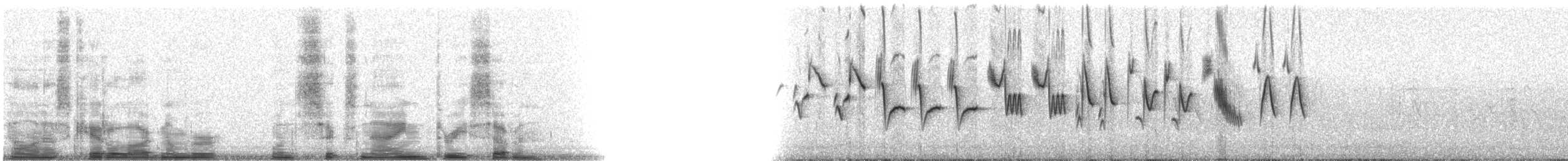 Indigo Bunting - ML16937
