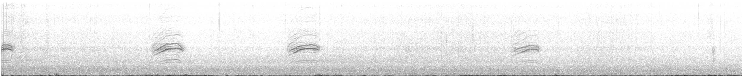 Münzevi Bülbül Ardıcı - ML169400791