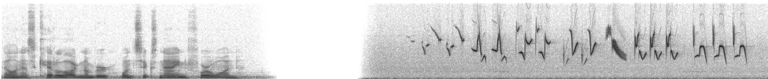 Indigo Bunting - ML16941