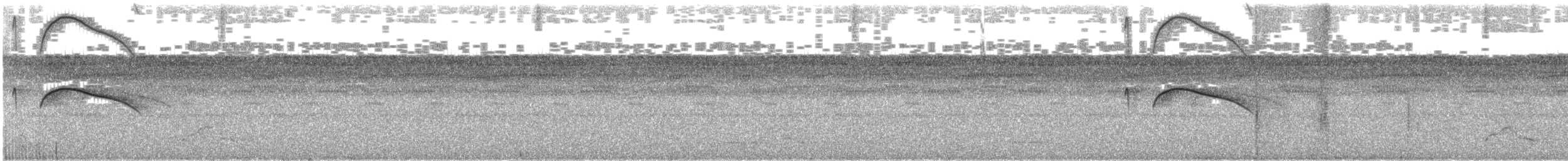 White-tailed Nightjar - ML169433081