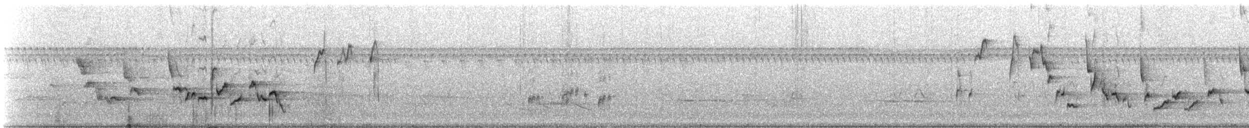 Каролинский крапивник - ML169505501