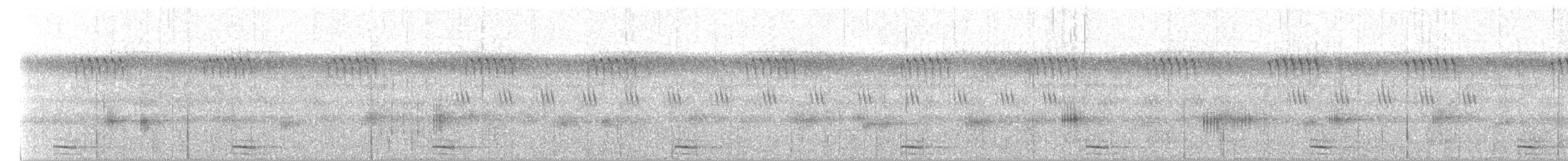 Şeritli Kestane Yelvesi - ML169530521