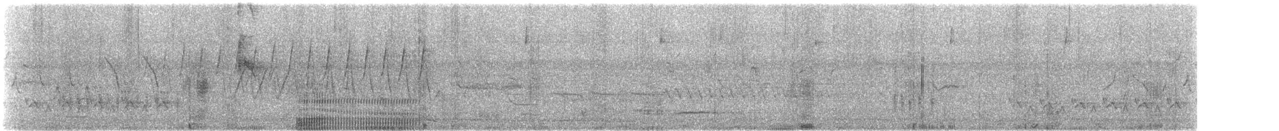 Carolinazaunkönig - ML169587151