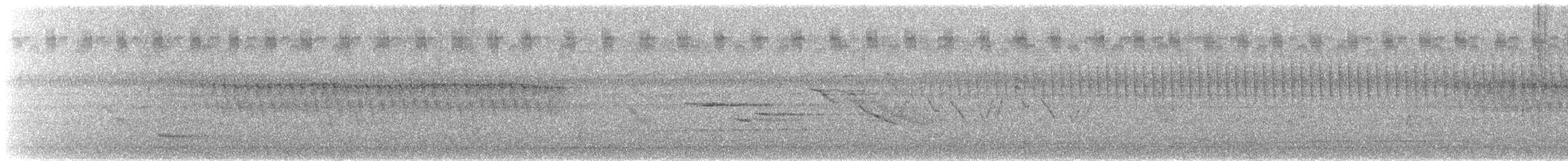 Schwirrammer - ML169588381