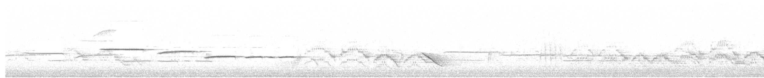 Белогорлая зонотрихия - ML169591111