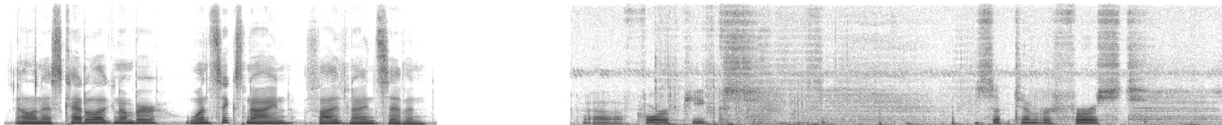 Common Poorwill - ML169597