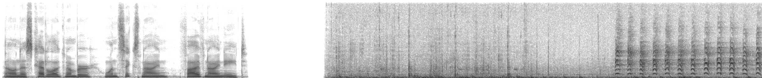 Cooper's Hawk - ML169598