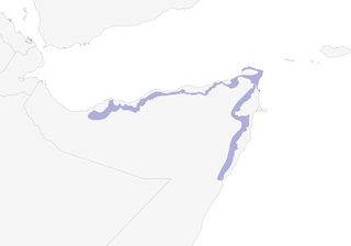 Distribution of the Somali Pigeon - Range Map