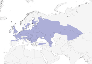 Distribution of the Gray Partridge - Range Map