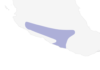 Distribution of the Banded Quail - Range Map