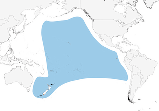 Distribution of the Cook's Petrel - Range Map