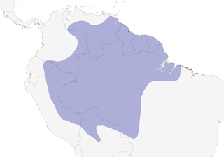 Distribution of the Zigzag Heron - Range Map