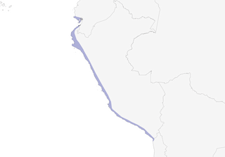 Distribution of the Peruvian Thick-knee - Range Map
