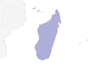 Distribution of the Cuckoo-roller - Range Map